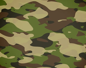 Ensaios em Produtos Militares Ensaios em Produtos Militares